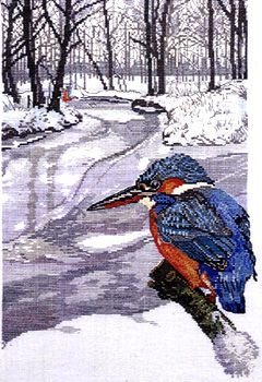 Kingfisher in Winter