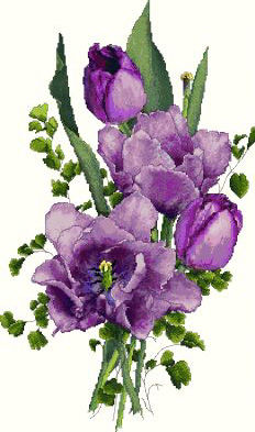 Lavender Tulips