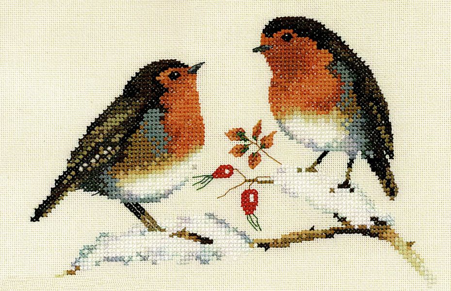 Winter Robins