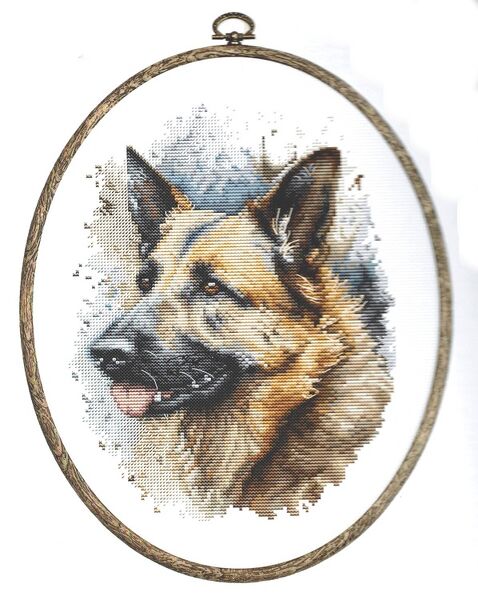 The German Shepherd