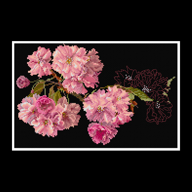 Cherry Blossom (view 2)