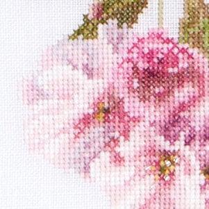 Cherry Blossom (view 3)