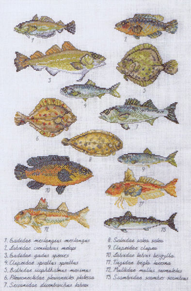watercolor style Veiltails fish Cross stitch kit kit Oven S960
