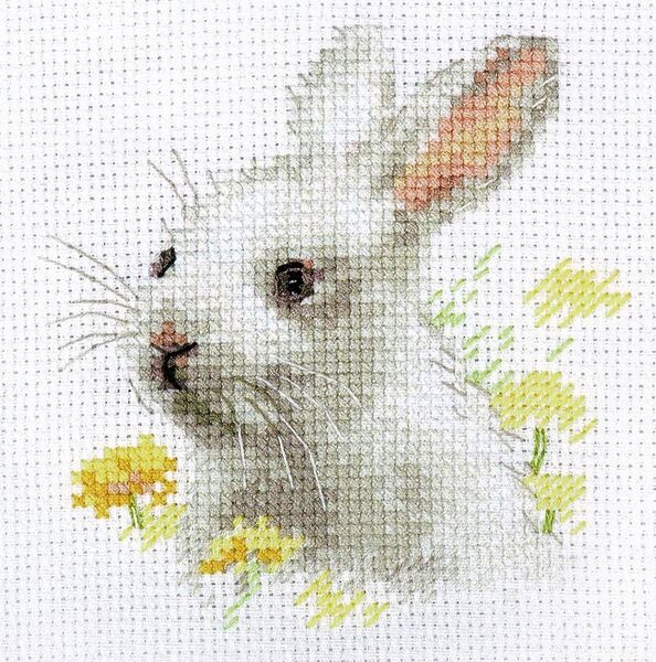 Animal Portraits - White Bunny