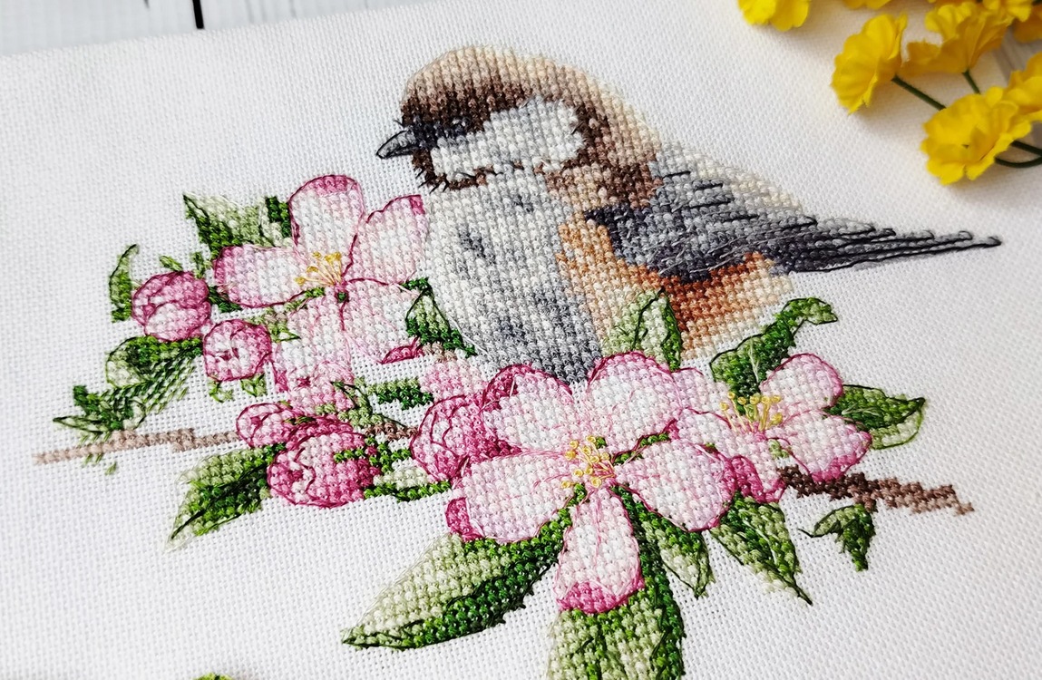 Coal Tit and Apple Blossom (view 3)
