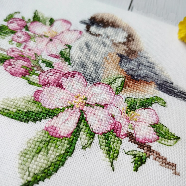 Coal Tit and Apple Blossom (view 4)