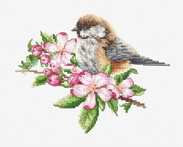 Coal Tit and Apple Blossom