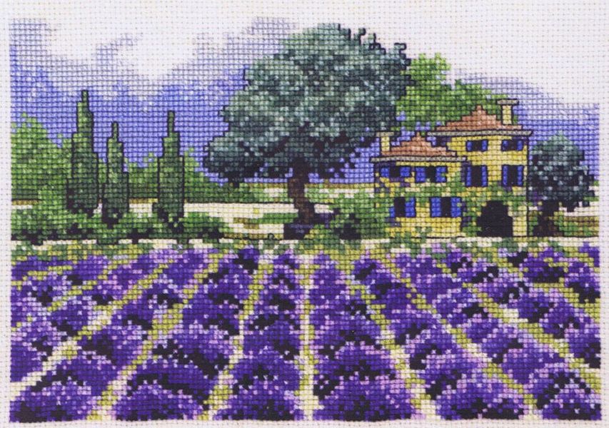 Lavender Farm