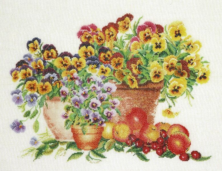 Pansy Pots