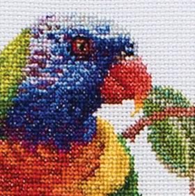 Lorikeets (view 3)