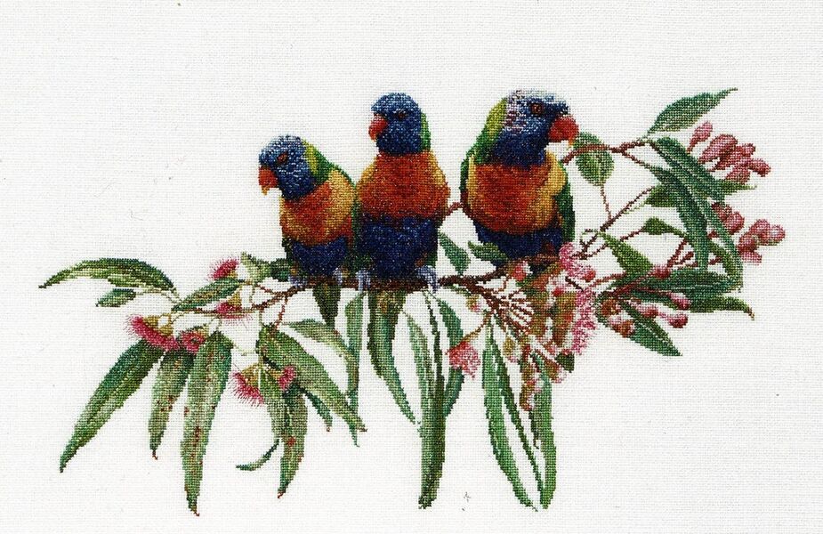 Lorikeets