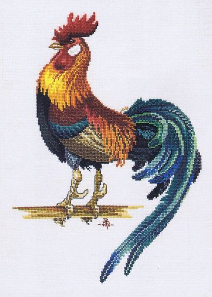 Cockerel