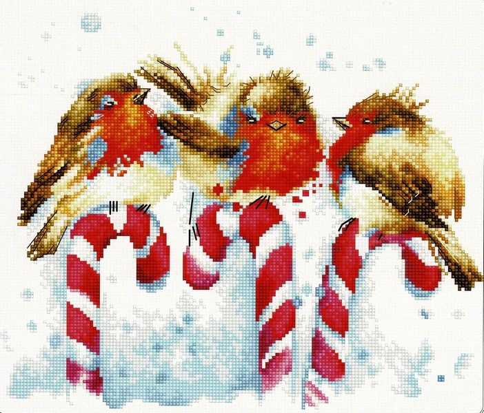 Robins and Candy Canes