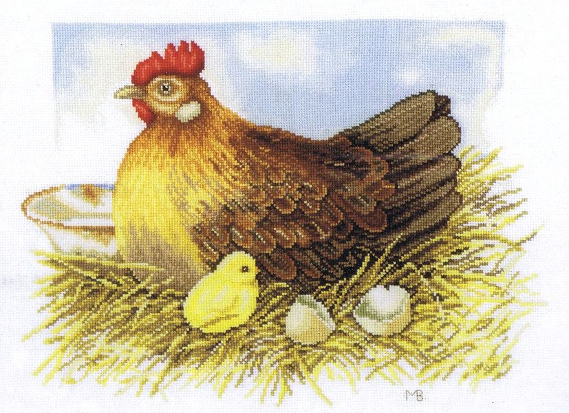 Mother Hen and Chick