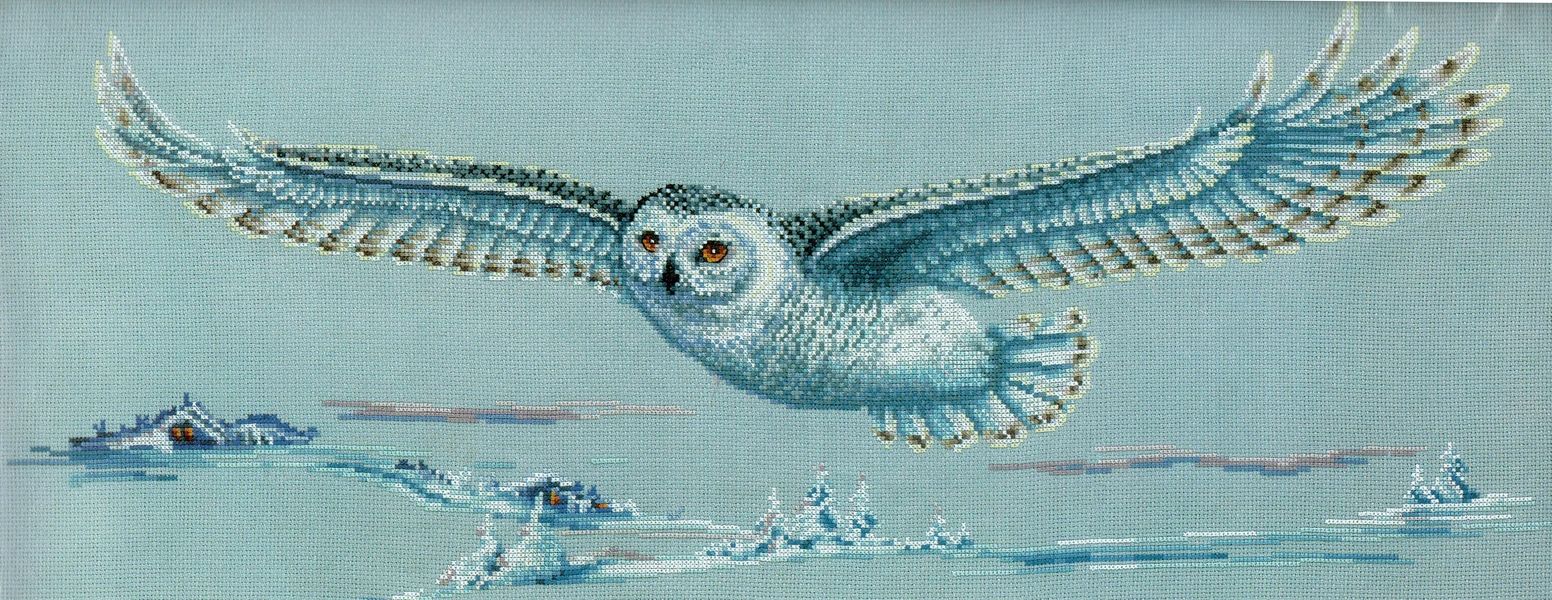 Polar Owl