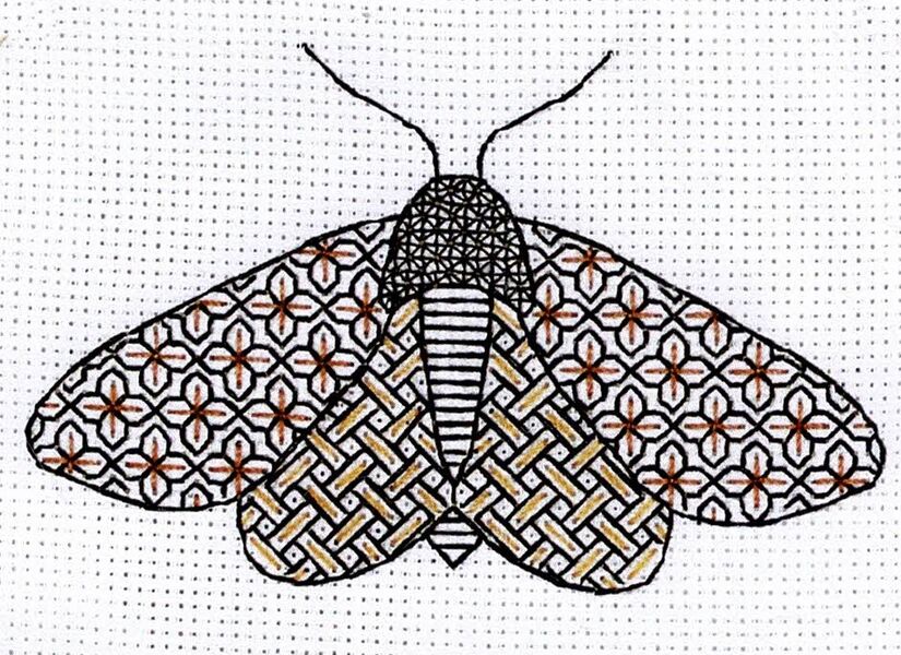 Blackwork Moth