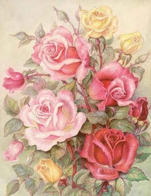 Romantic Roses