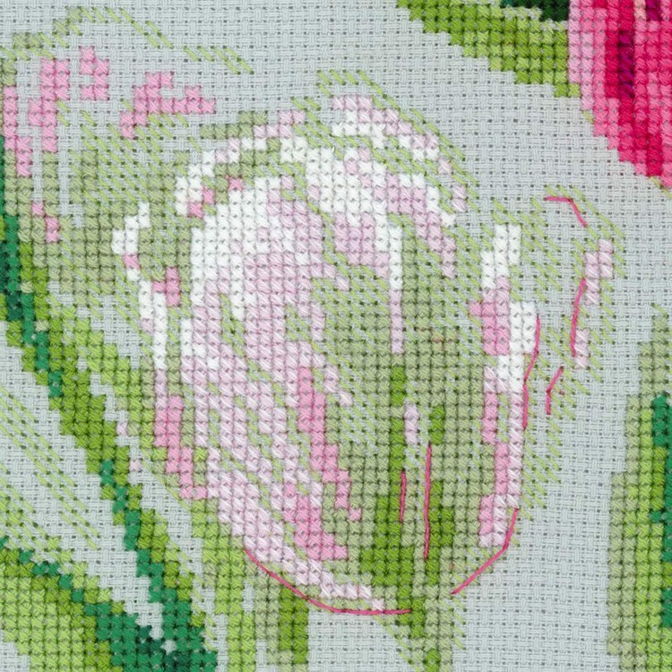 Spring Tulips (view 2)