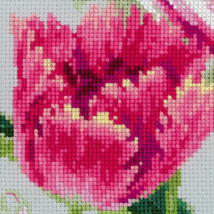 Spring Tulips (view 3)