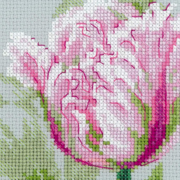 Spring Tulips (view 4)