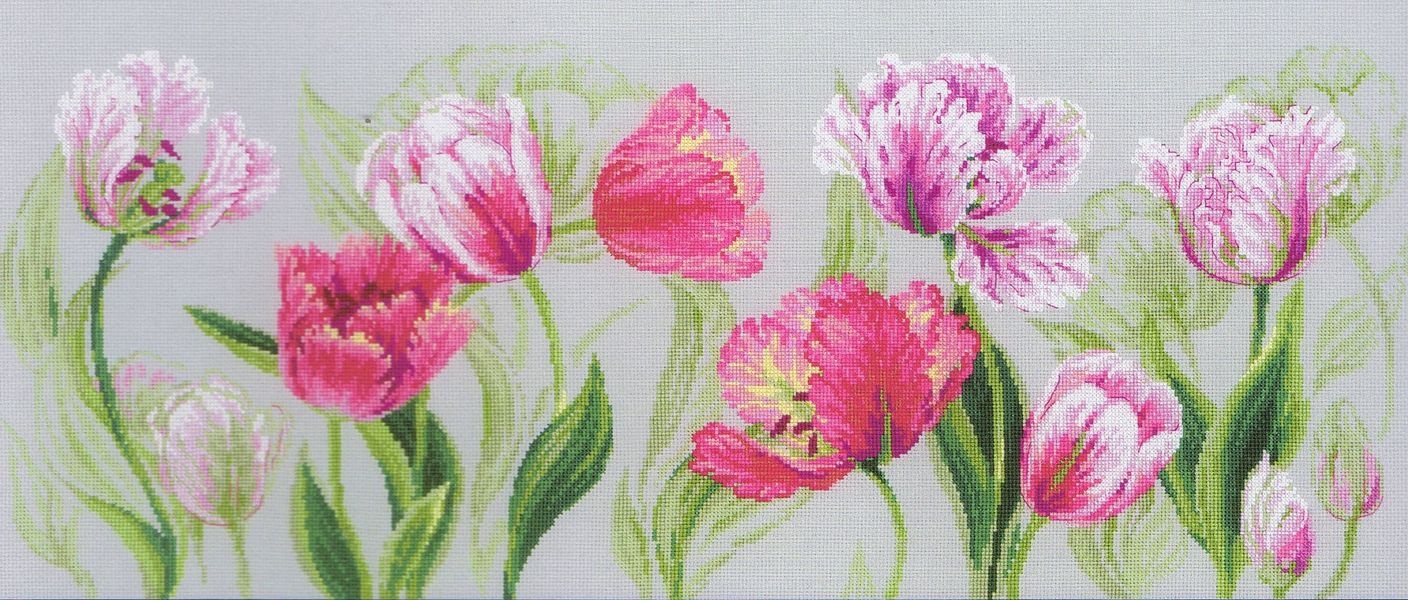 Spring Tulips