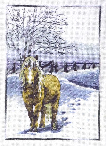 Winter Horse