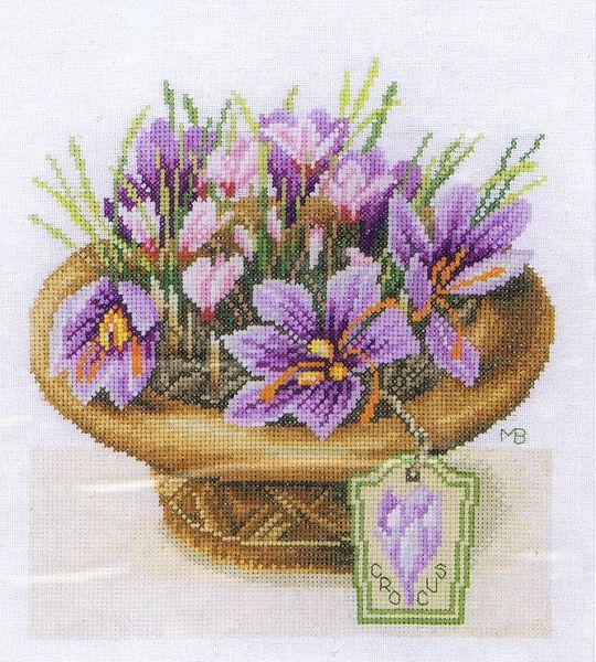 Crocus Flowers