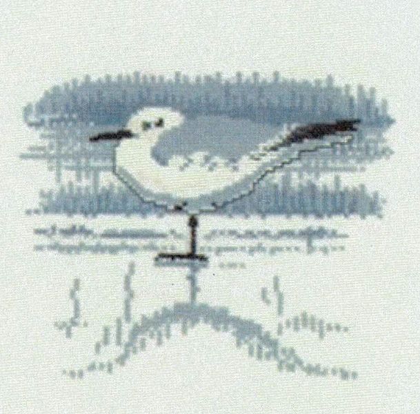 Gull in Winter