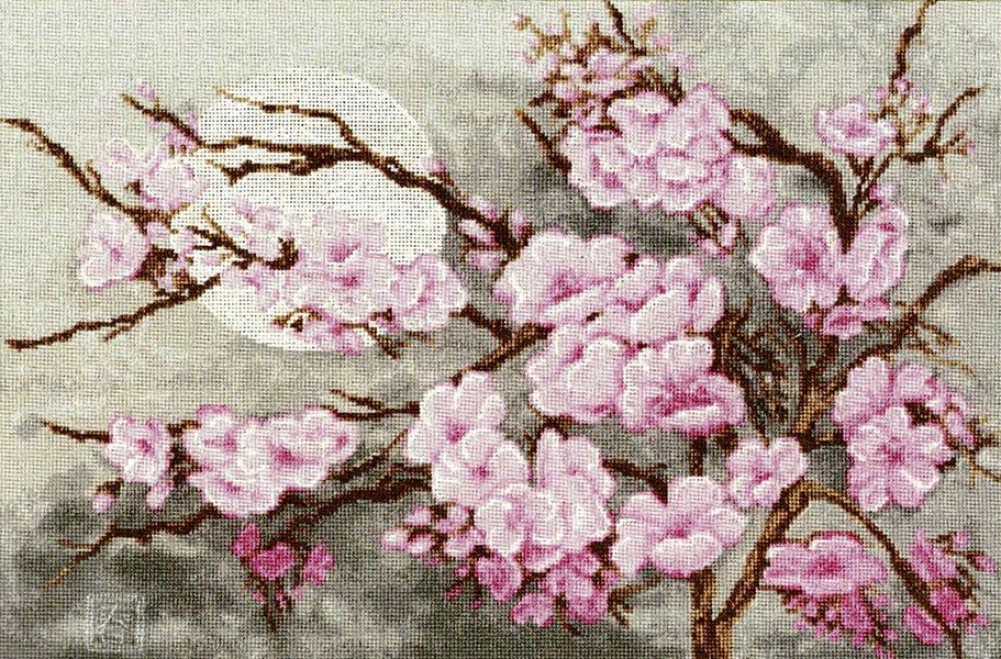 Branch of Sakura