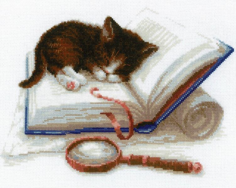 Kitten on a Book