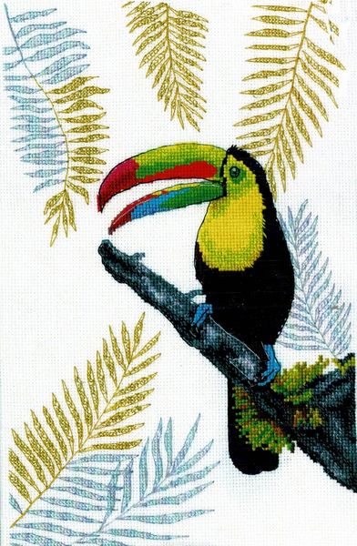 Toucan