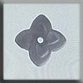 Star Flower Treasure