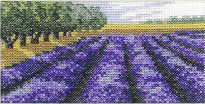 Lavender Fields and Woods