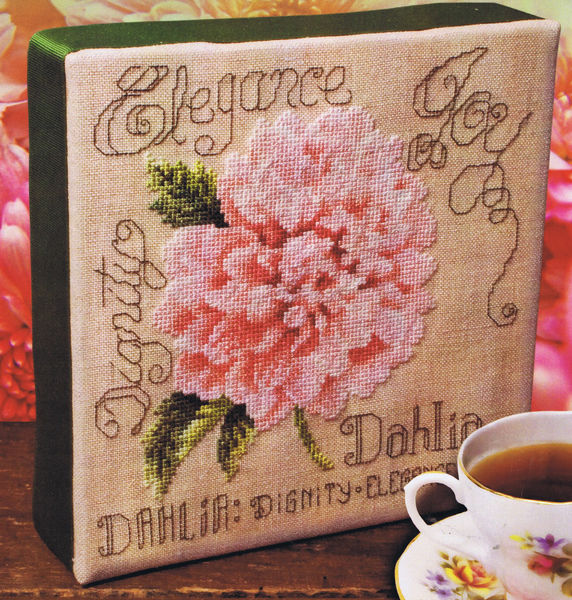 Dahlia