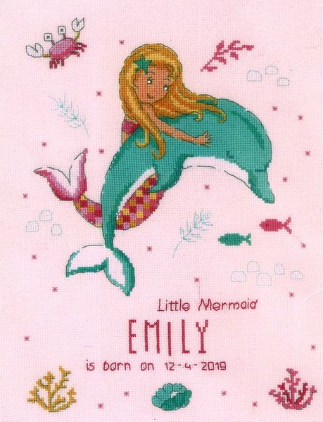 Little Mermaid and Dolphin