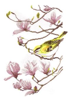Magnolia Branch with Firecrest