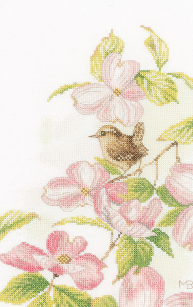 Pink Flowers and Wren