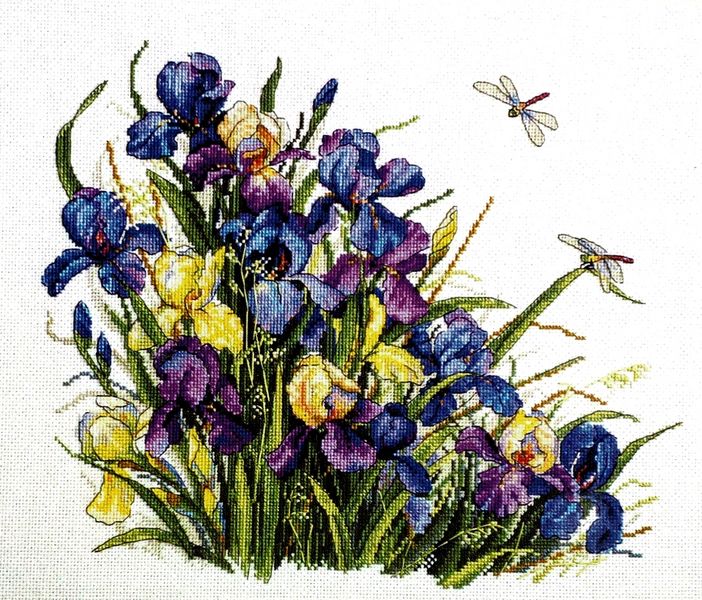 Irises