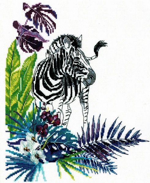 Zebra