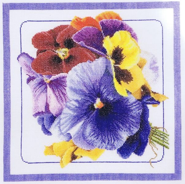 Pansies