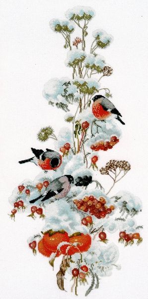 Bullfinches in Winter