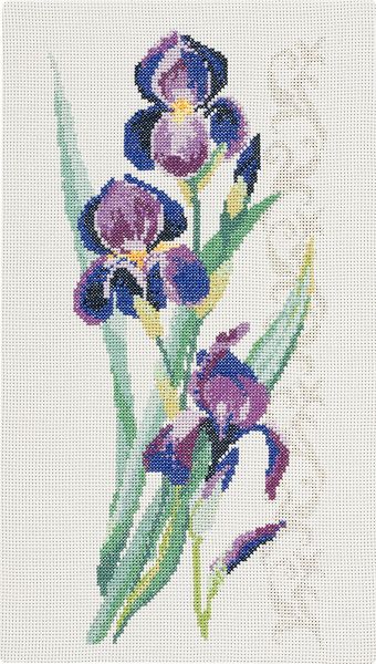 Irises