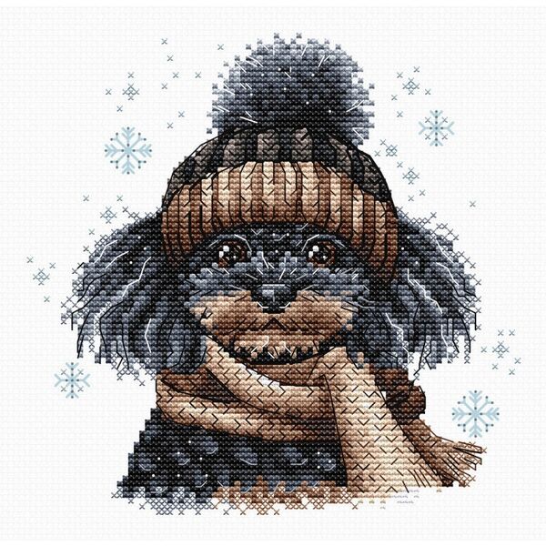 The Poodle