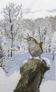 Wren in Winter