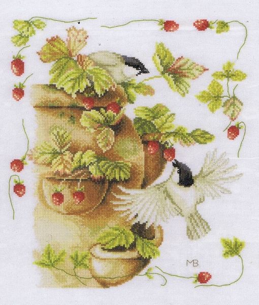Strawberries and Birds