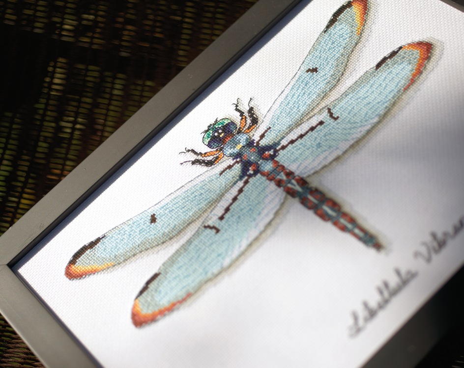 Dragonfly (view 2)