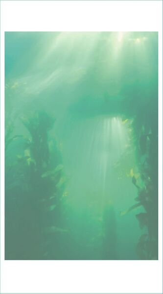 Mermaid Retreat Large