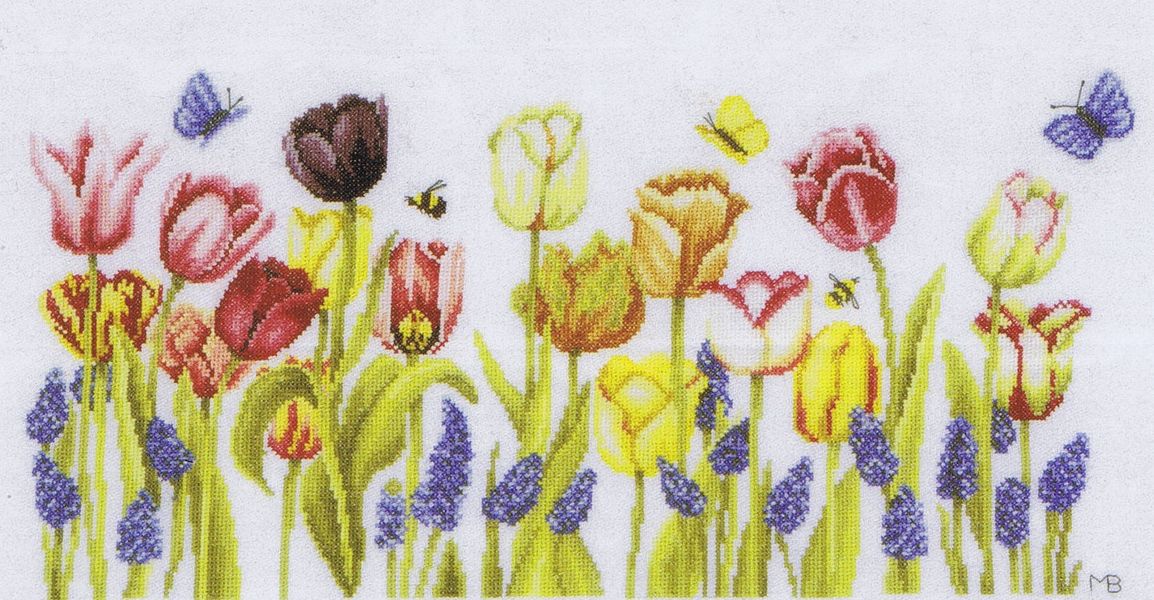 Tulips