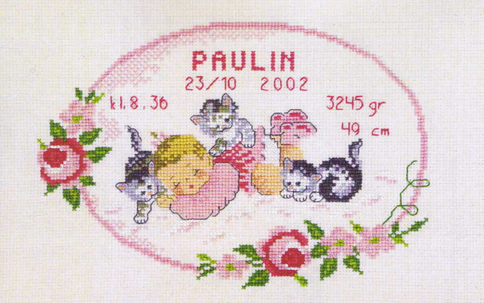 Baby Girl with Kittens Birth Record