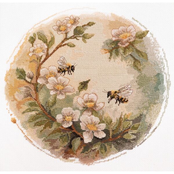 Honey Colours